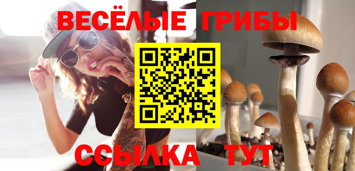 Артём  Галлюциногенные грибы Magic Shrooms  Вход с VPN 